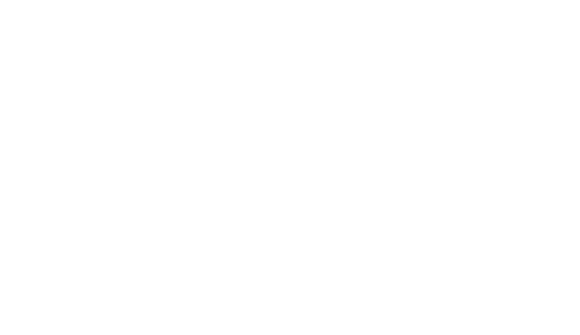 4大发展方案